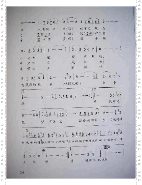 我的家乡大平原