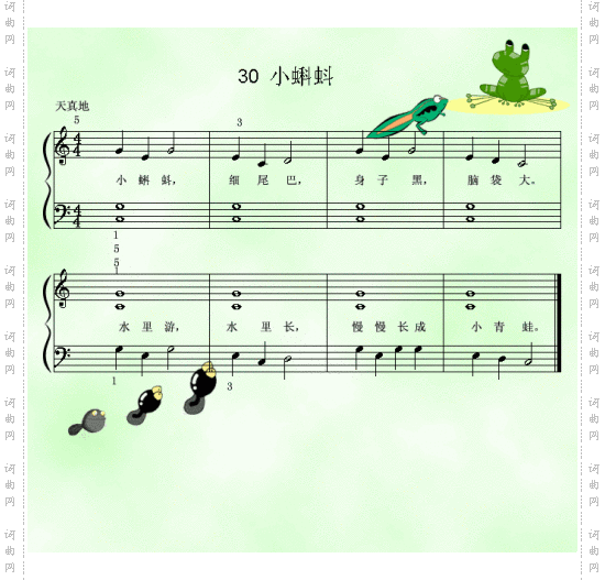 小蝌蚪.