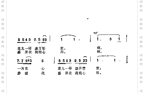 赤城花