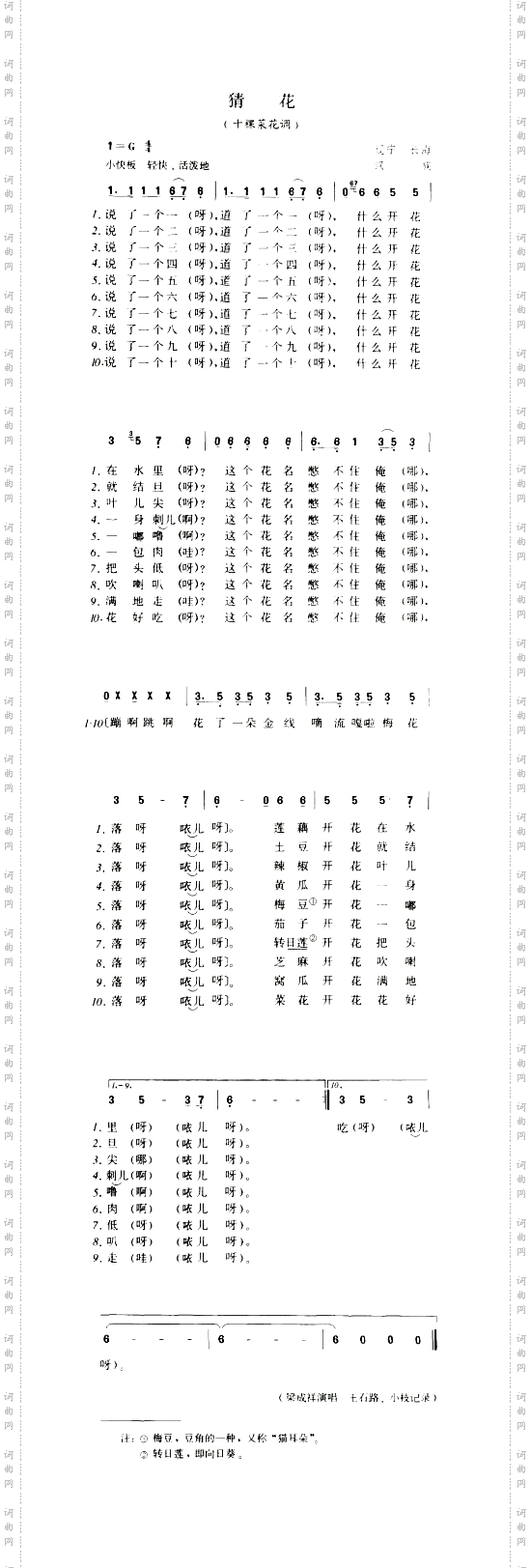 猜花十棵菜花调
