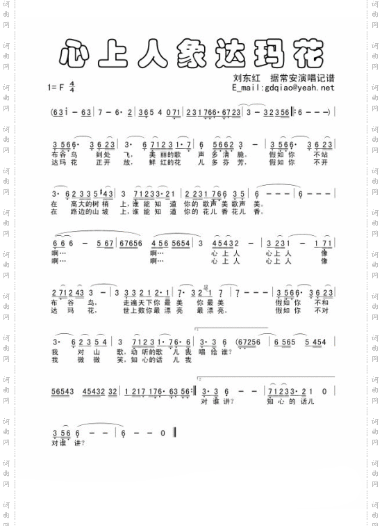 心上人象达玛花