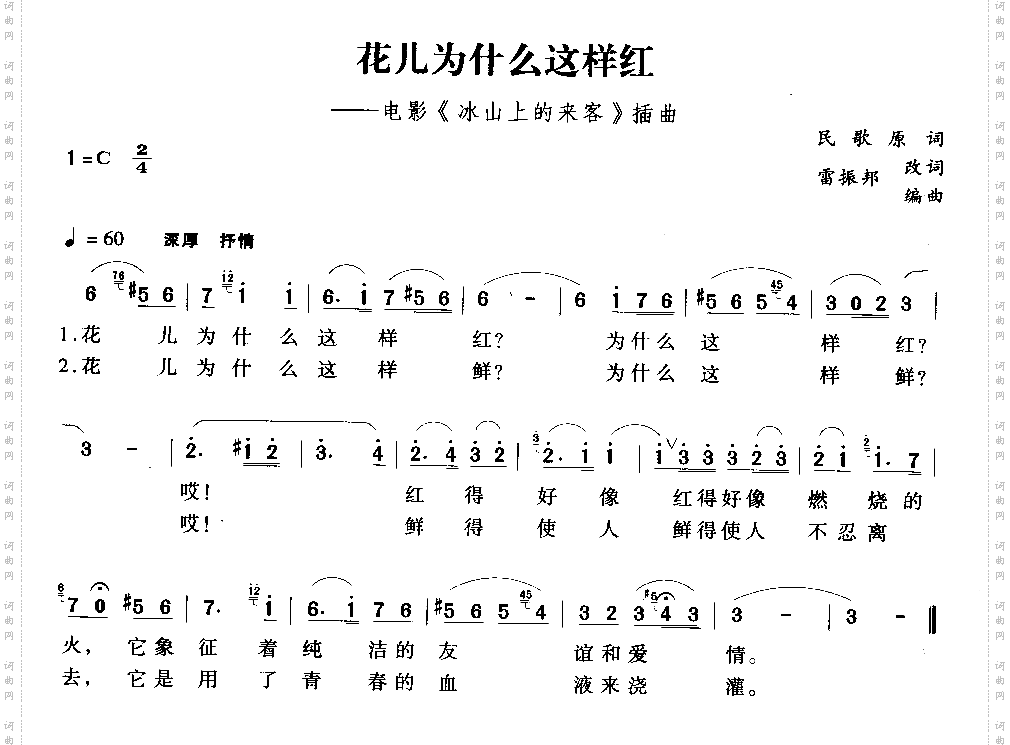 花儿为什么这样红