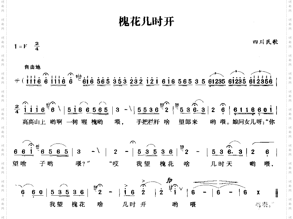 槐花几时开