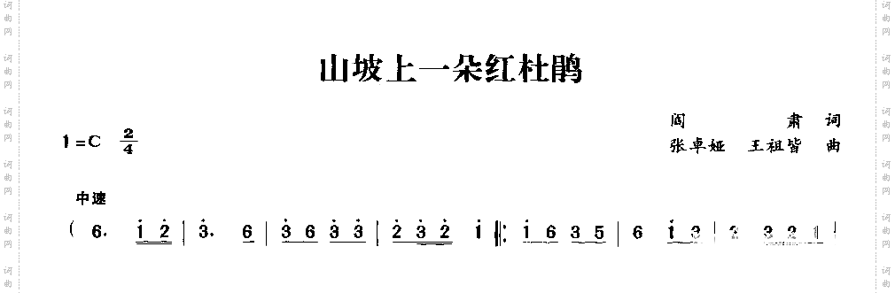 山坡上一朵红杜鹃