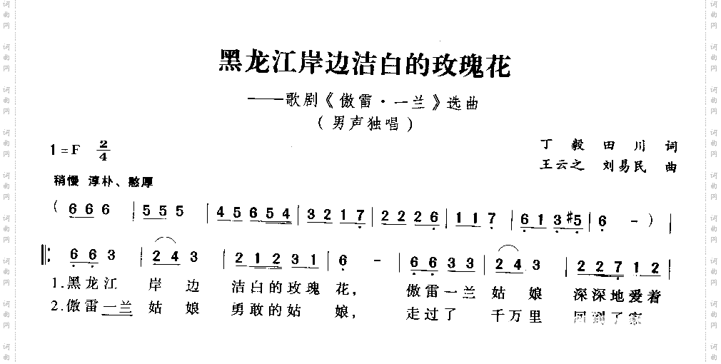 黑龙江岸边洁白的玫瑰花