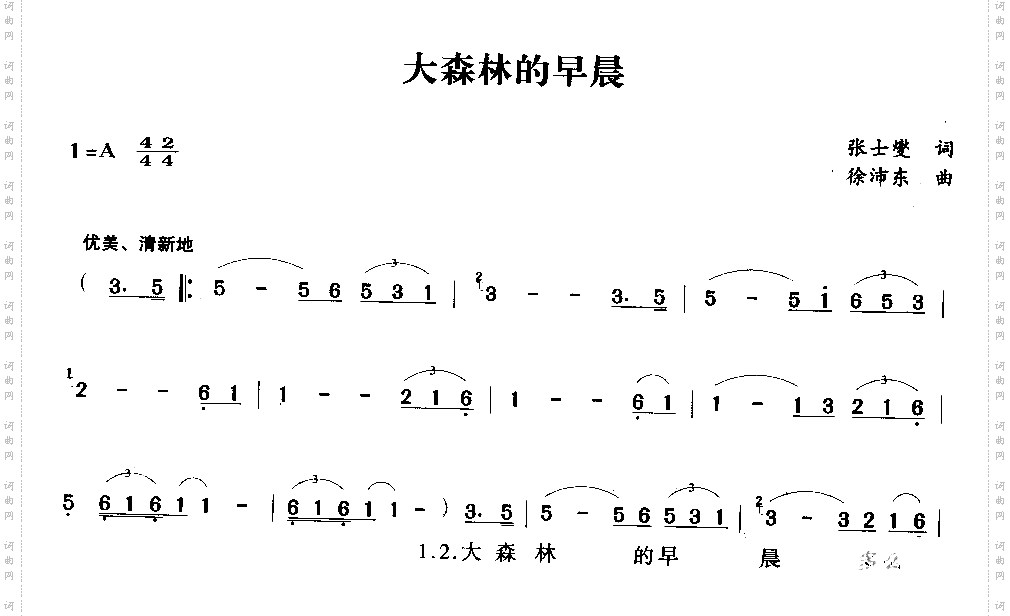 大森林的早晨