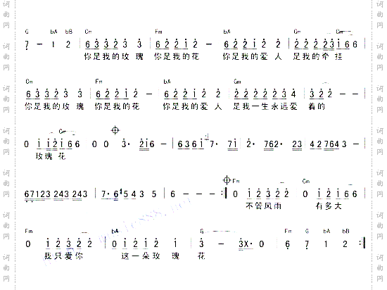 你是我的玫瑰花