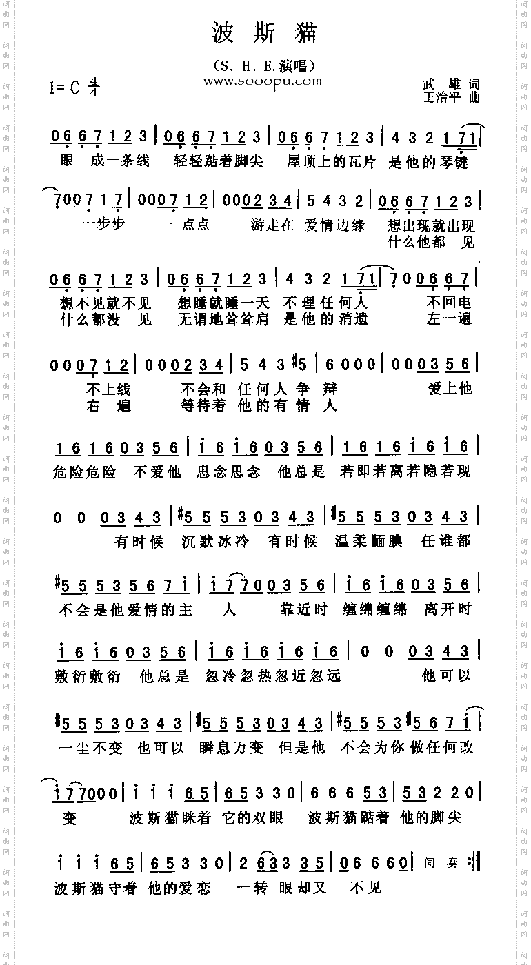 波斯猫