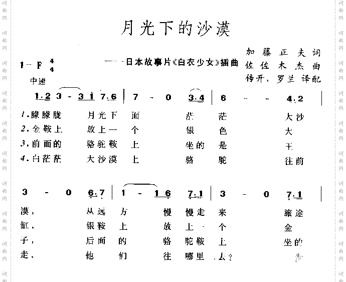 月光下的沙漠