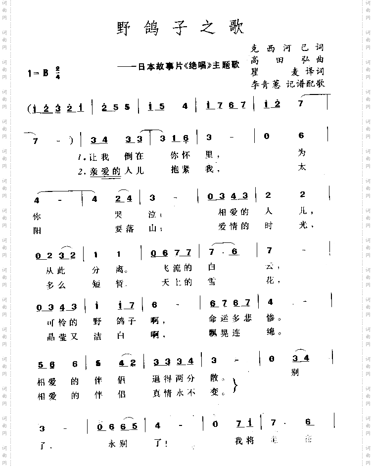 野鸽子之歌