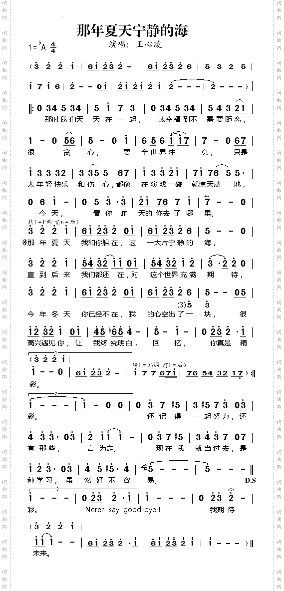 那年夏天宁静的海