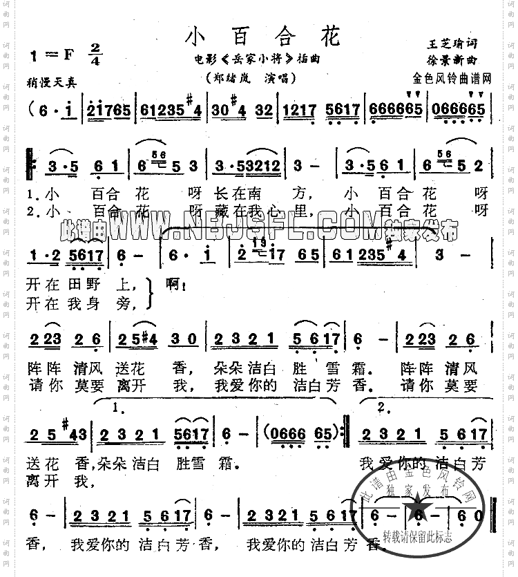 小百合花