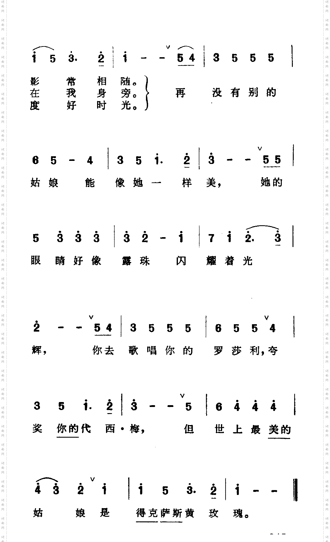 德克萨斯的黄玫瑰2