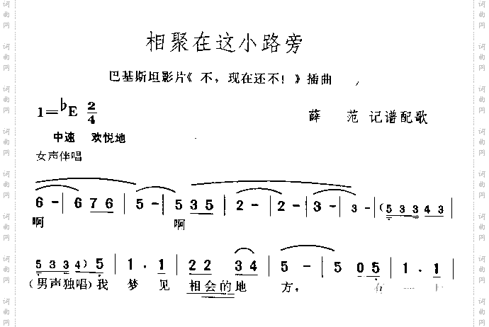 相聚在这小路旁