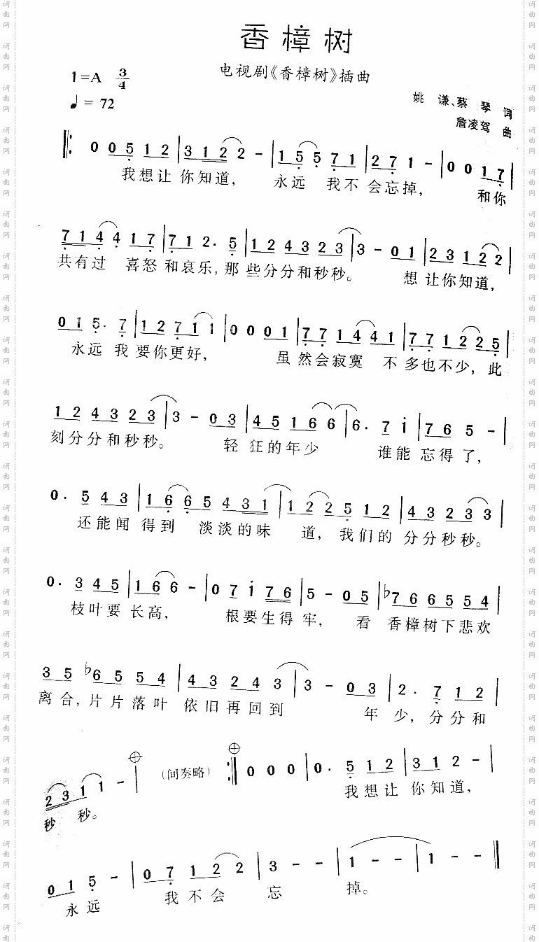 香樟树