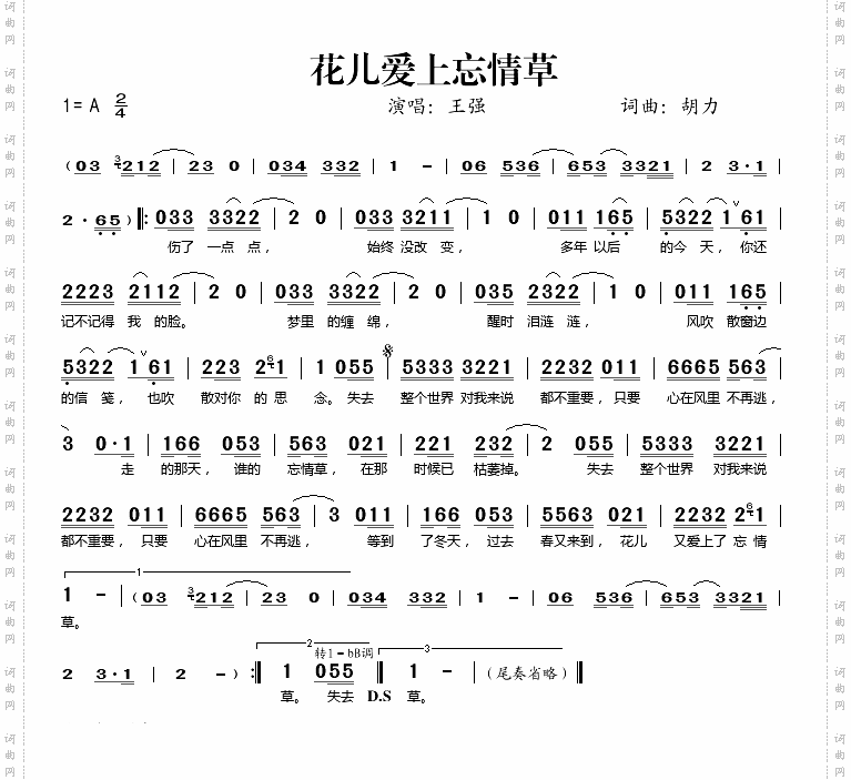 花儿爱上忘情草