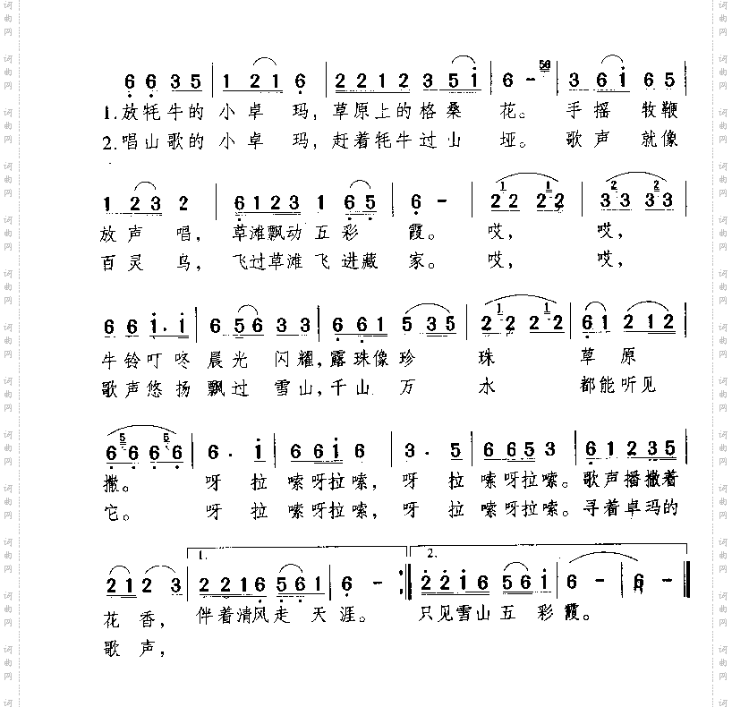 放牦牛的小卓玛