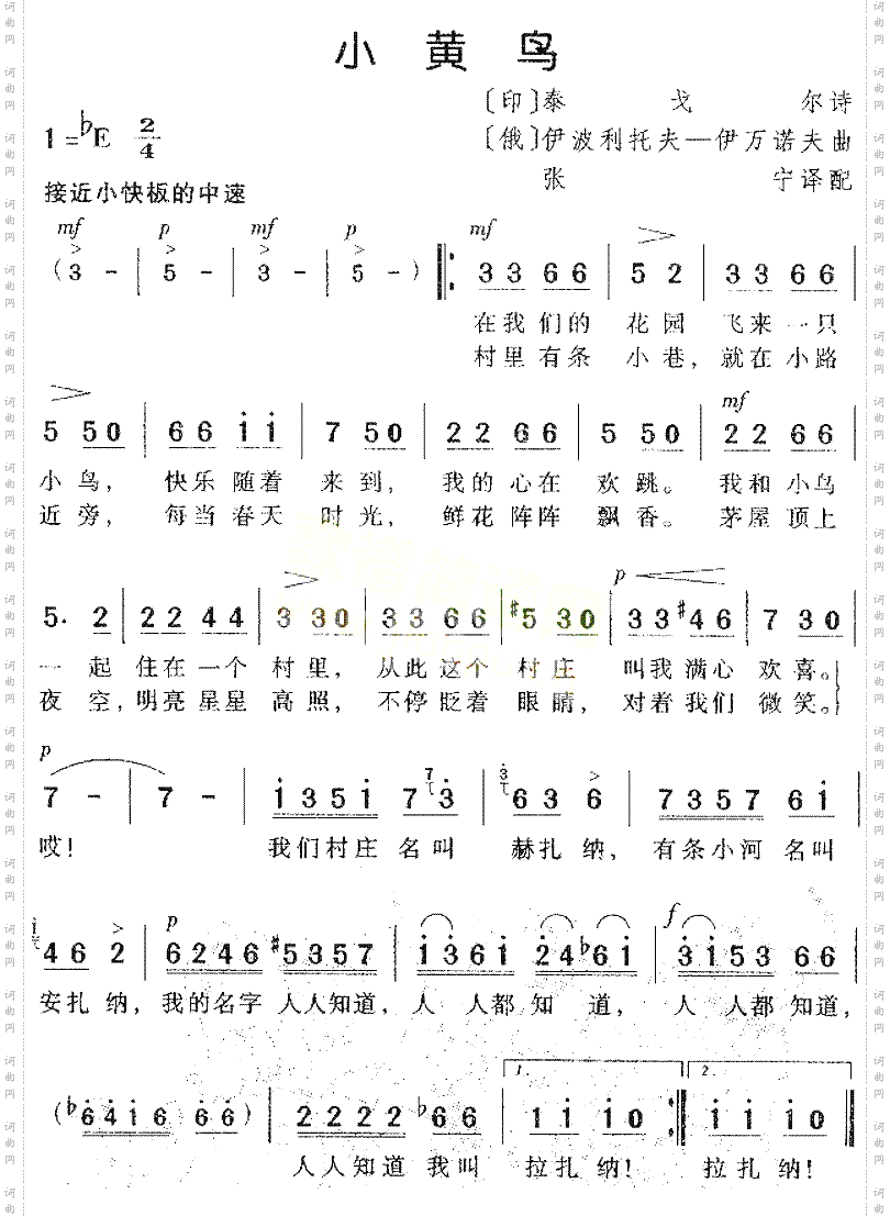 小黄鸟