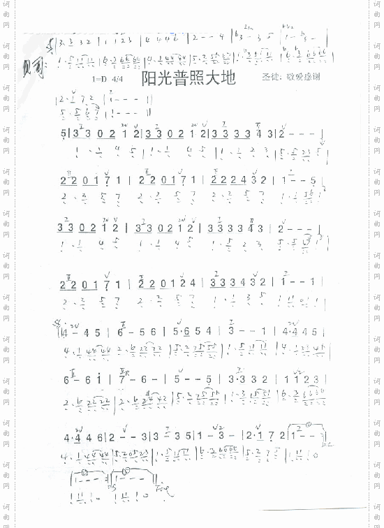 阳光普照大地贝司