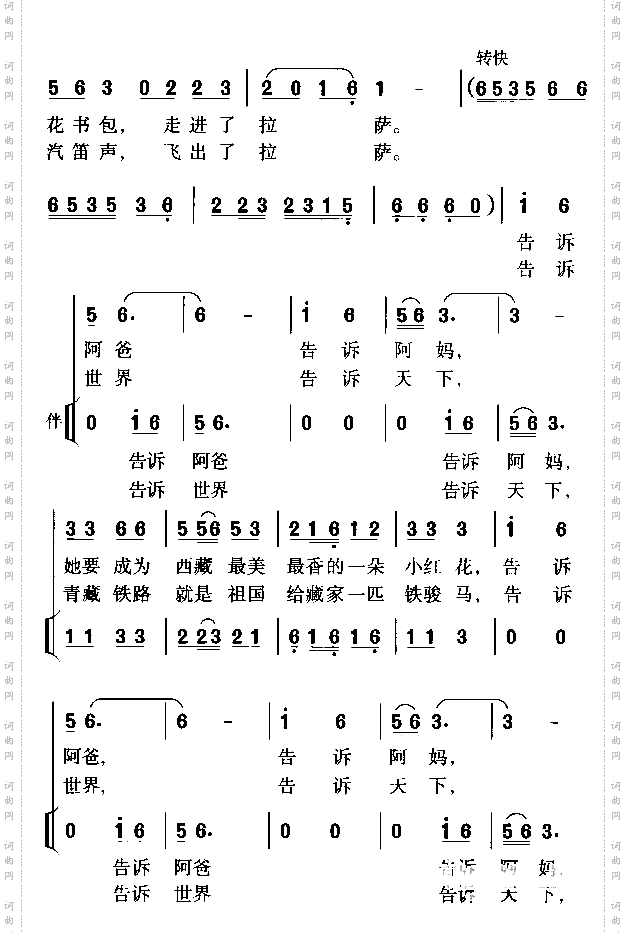 美丽的藏红花