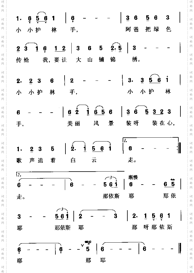 小小护林手