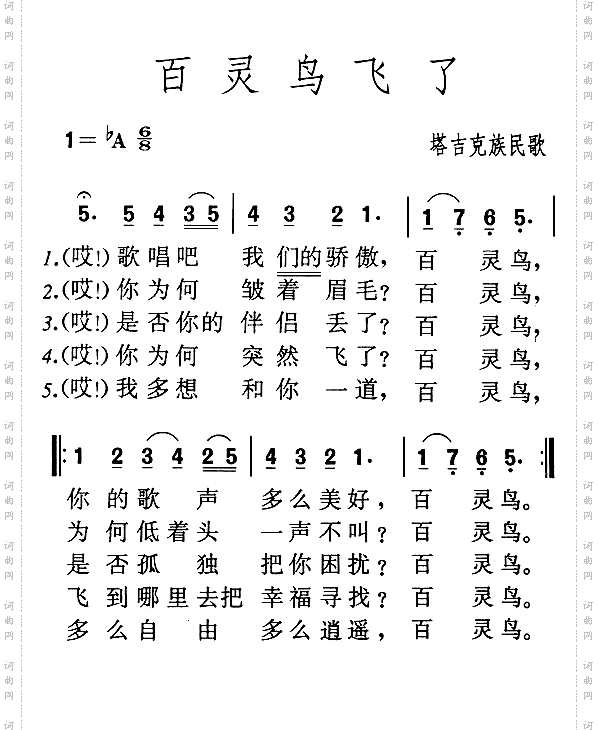百灵鸟飞了