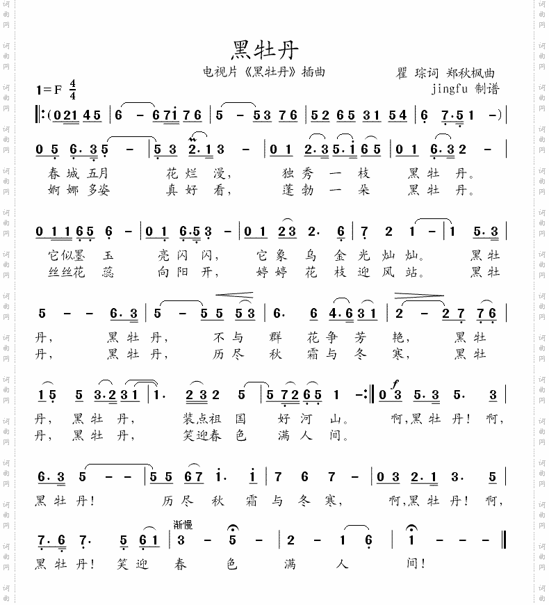 黑牡丹