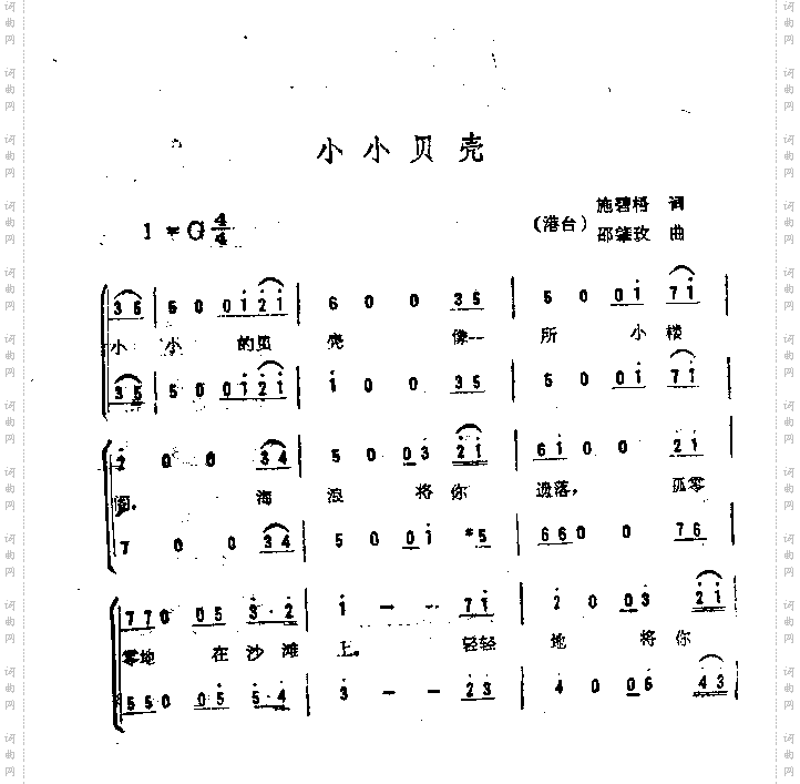 小小贝壳