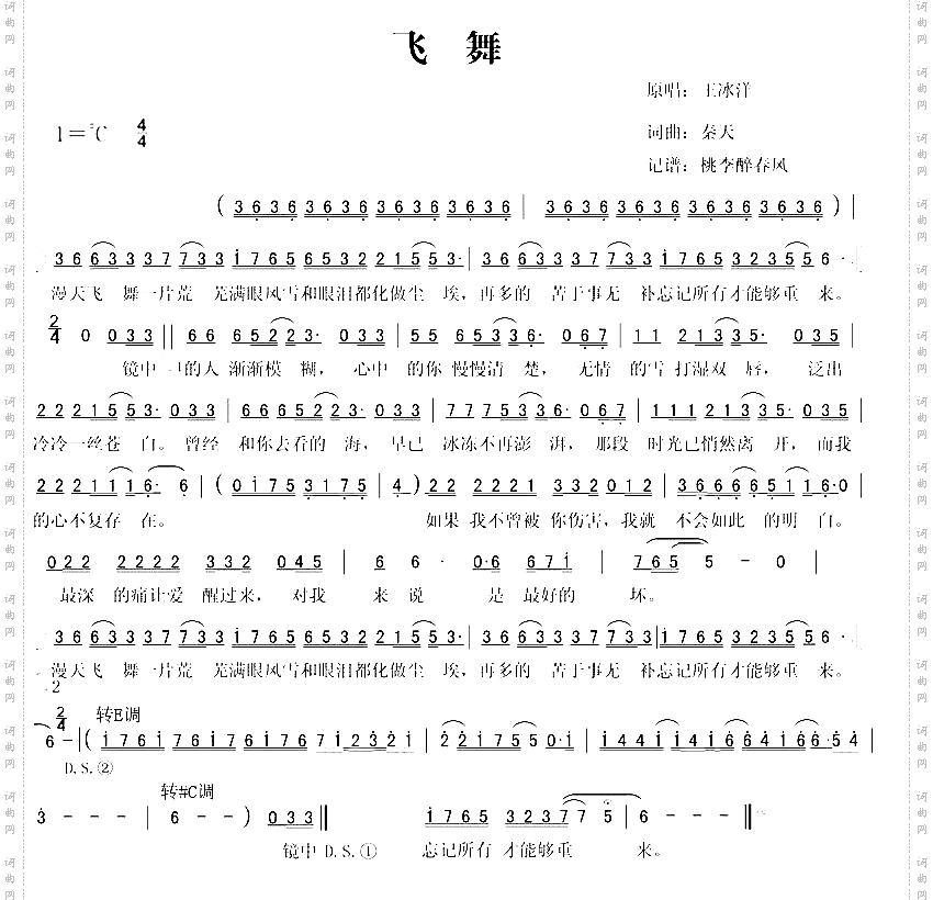 飞舞
