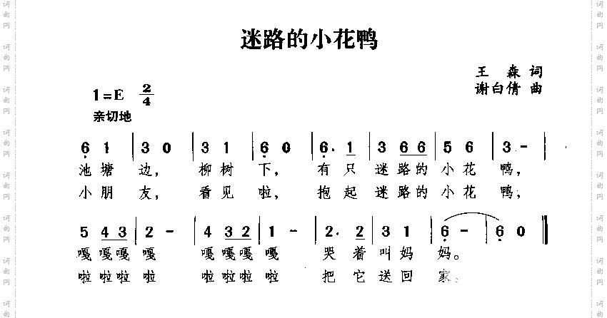 迷路的小花鸭