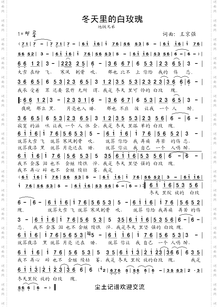 冬天里的白玫瑰