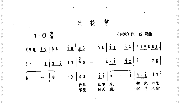 兰花草
