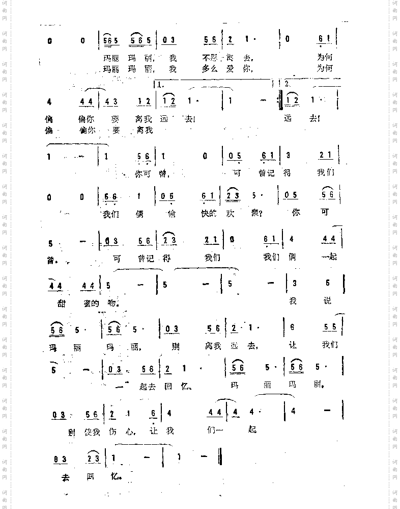 玛丽