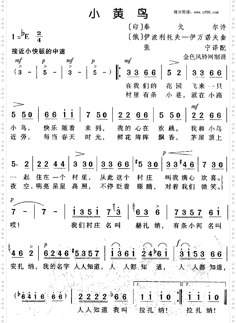 小黄鸟