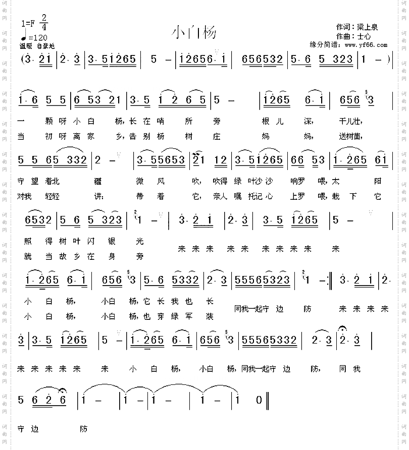 小白杨