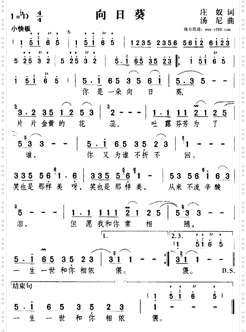 向日葵