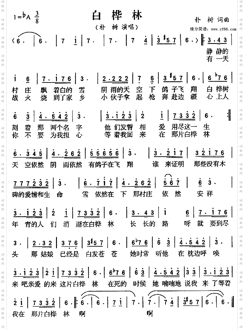 白桦林