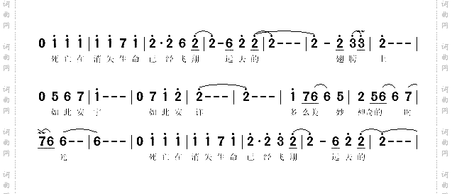 神鹰传说