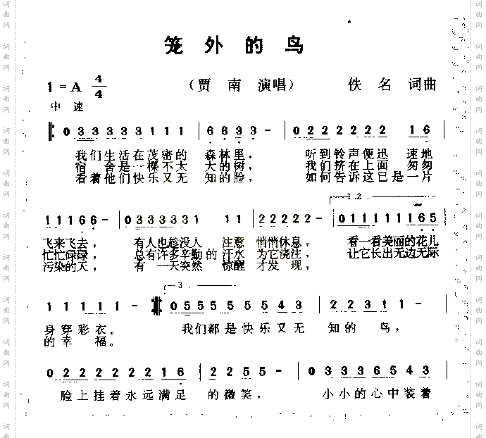 笼外的鸟