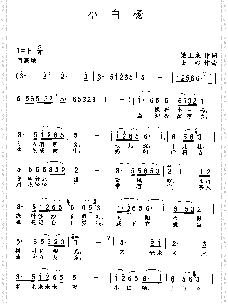 小白杨