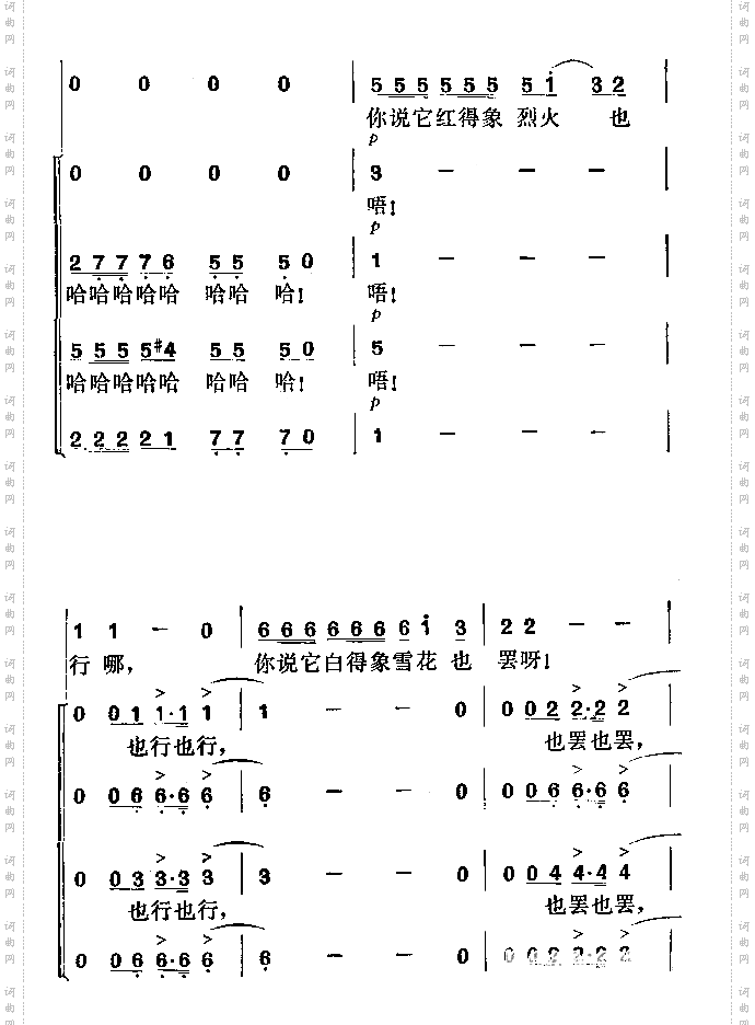 我的心上开了一朵玫瑰花