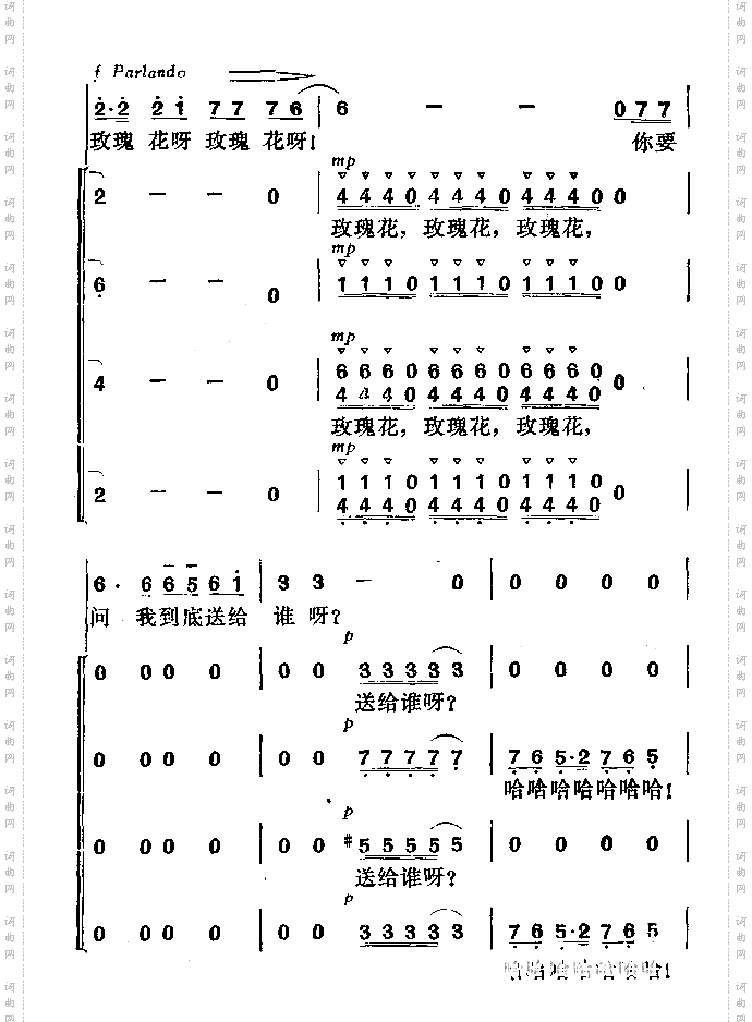 我的心上开了一朵玫瑰花