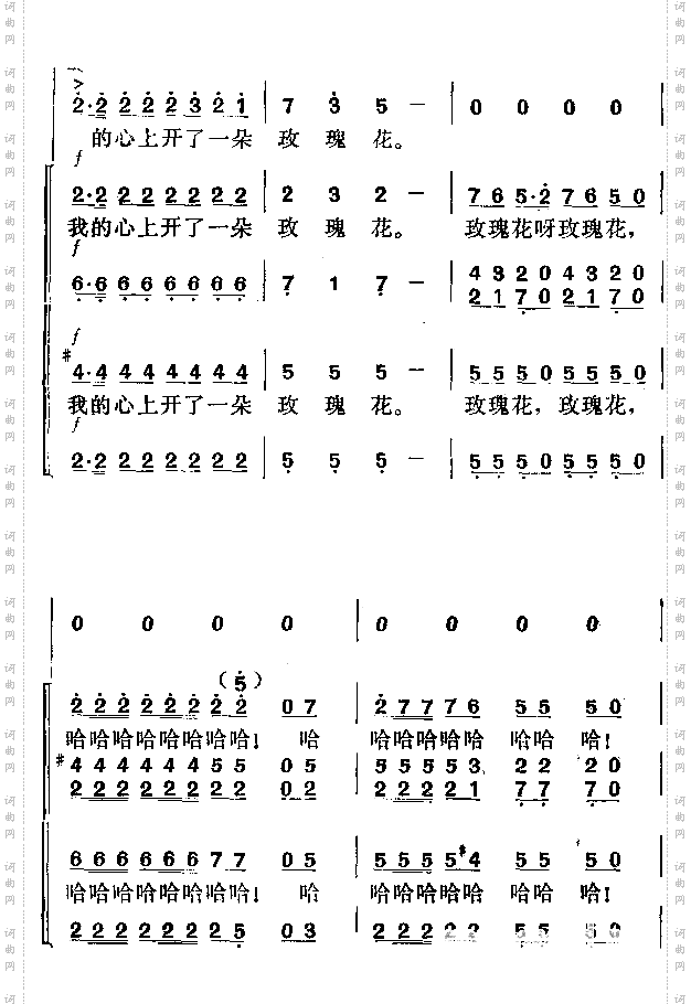 我的心上开了一朵玫瑰花