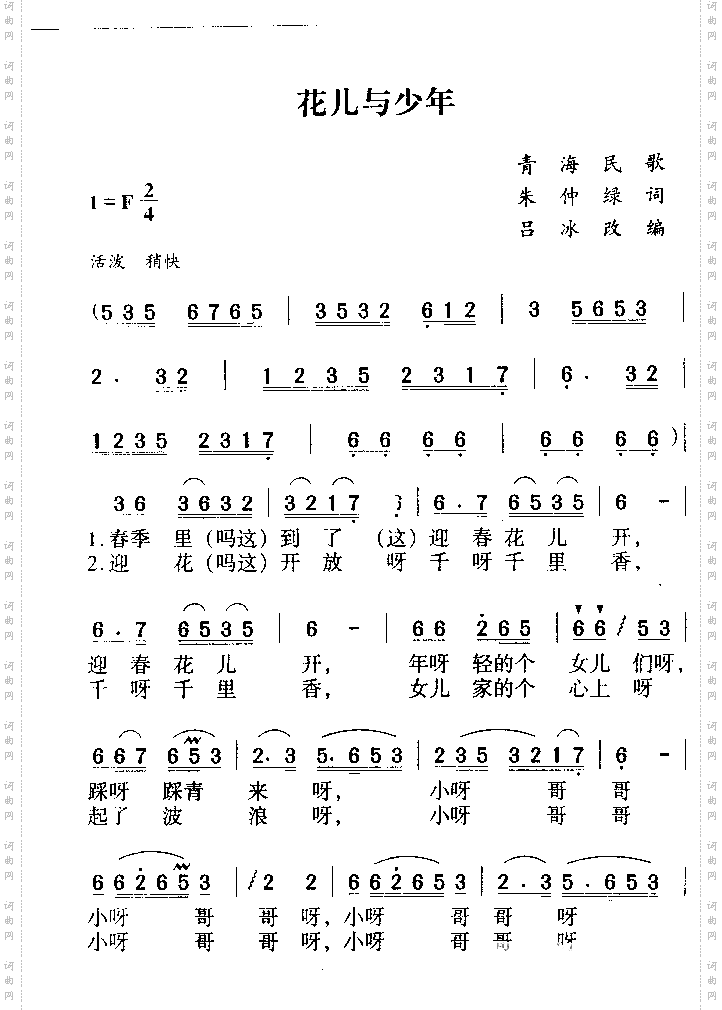 花儿与少年