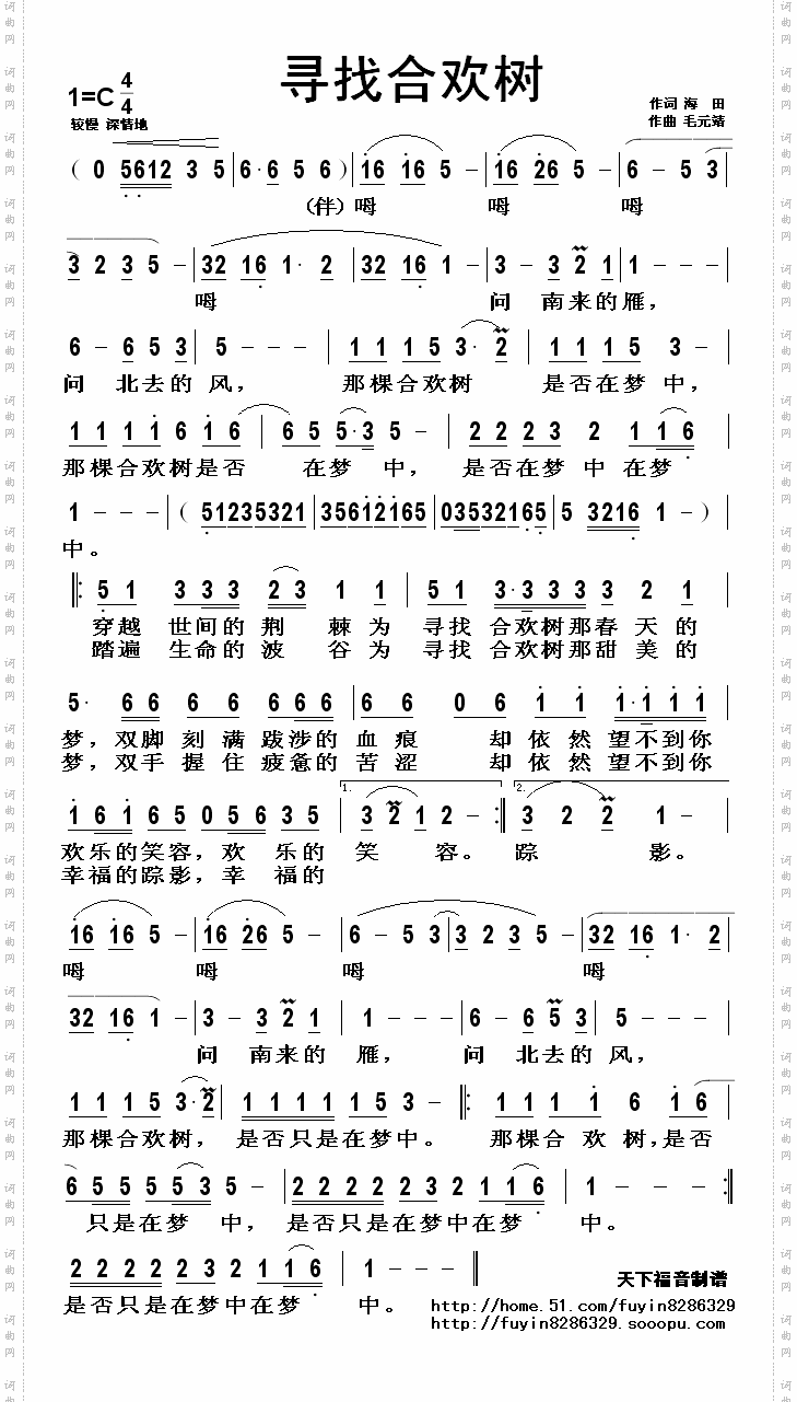 寻找合欢树