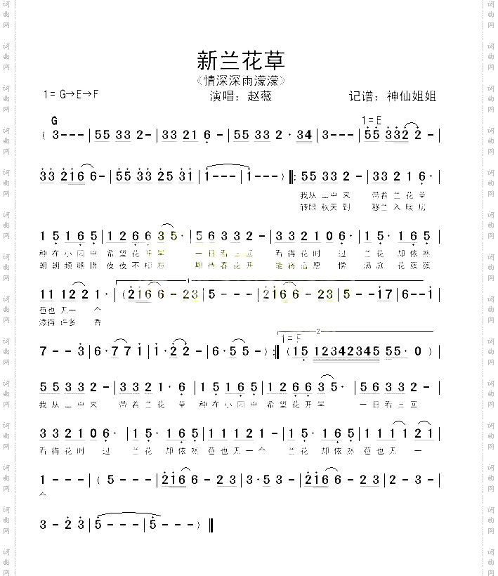 新兰花草《情深深雨濛濛》