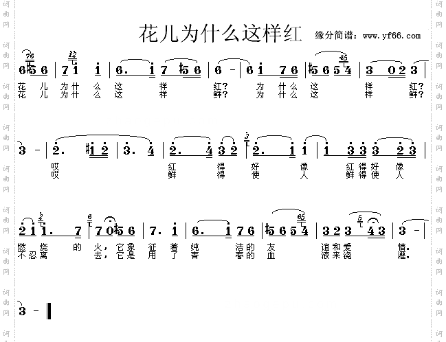 花儿为什么这样红