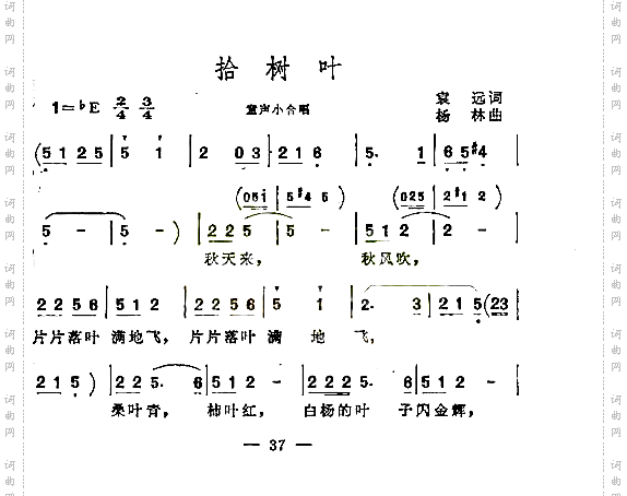 拾树叶童声小合唱
