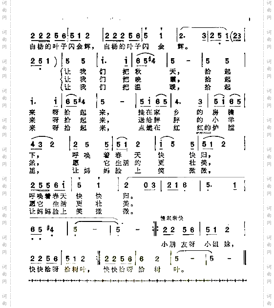 拾树叶童声小合唱
