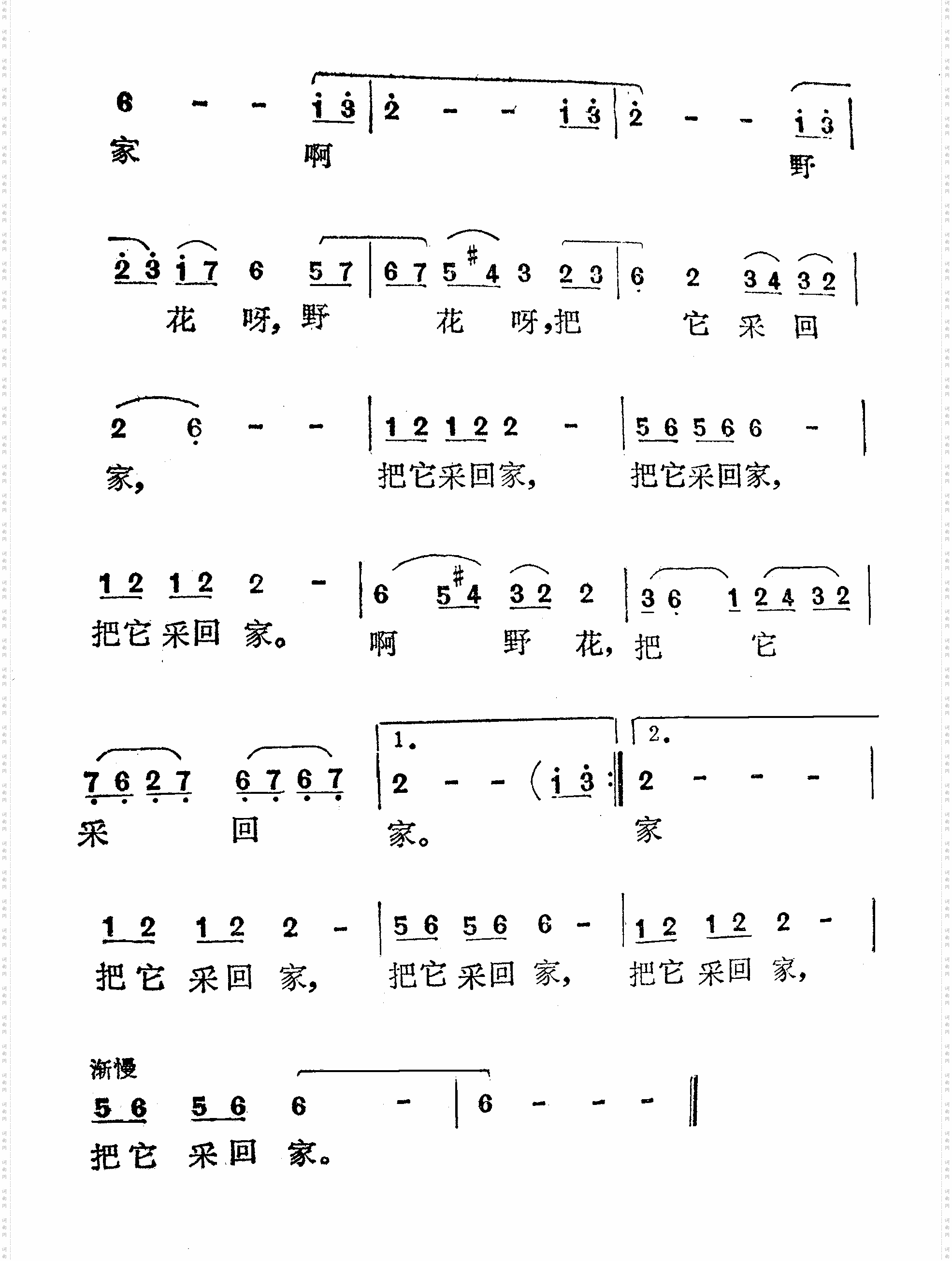 啊，野花扬帆插曲